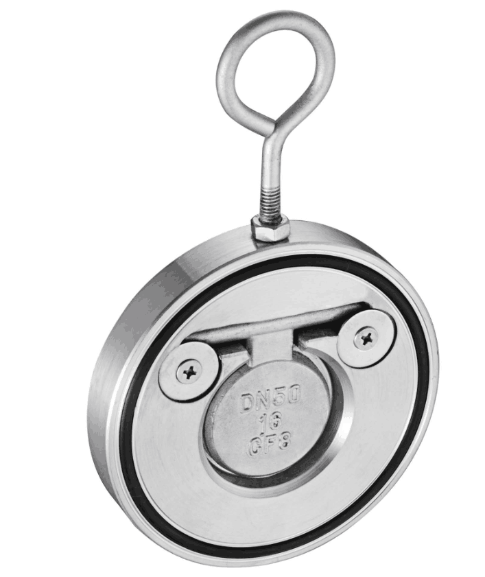 V&aacute;lvulas de retenci&oacute;n de acero inoxidable