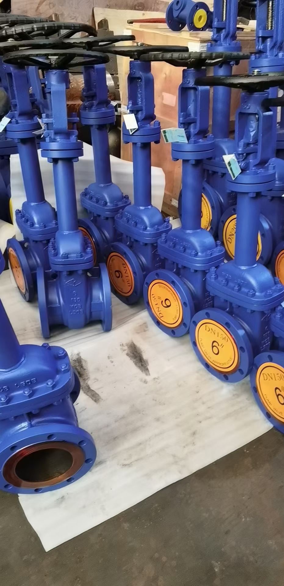 v&aacute;lvula de globo del reborde del dinar