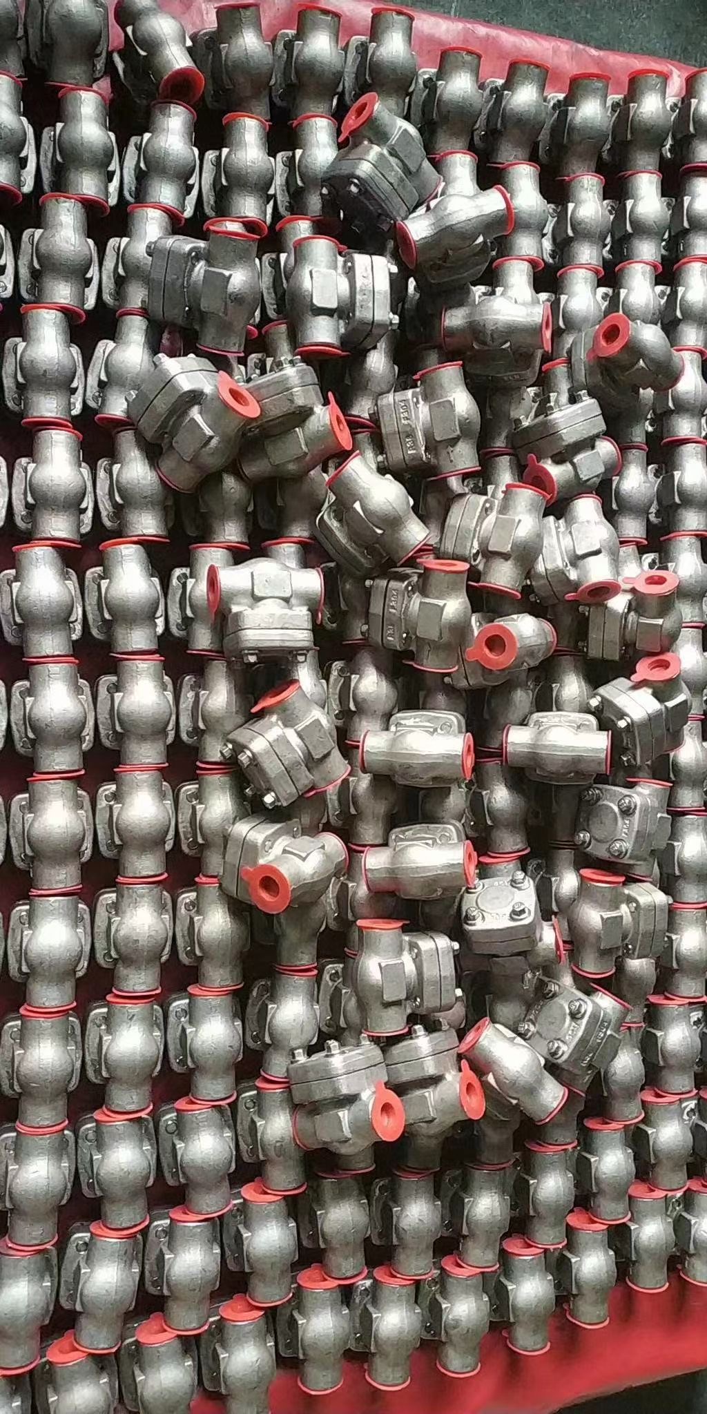 v&aacute;lvula de retenci&oacute;n de acero inoxidable F304